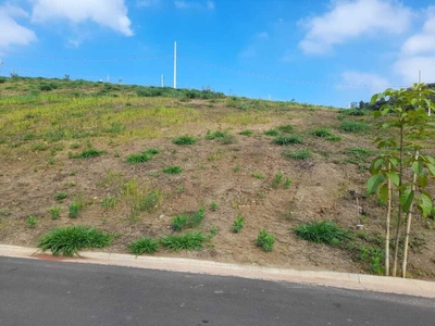 Terreno, 242 m² - Foto 5