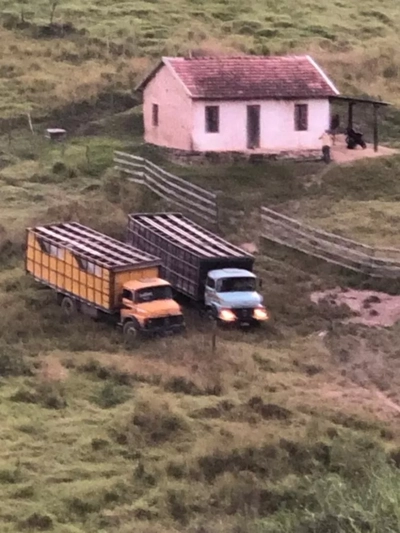 Fazenda-Sítio-Chácara, 126 hectares - Foto 4