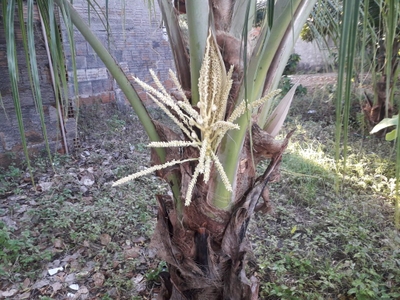 Terreno, 880 m² - Foto 5