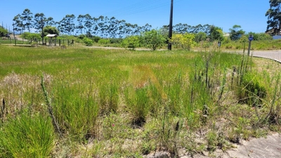 Terreno, 963 m² - Foto 5