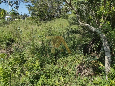 Terreno, 318 m² - Foto 4