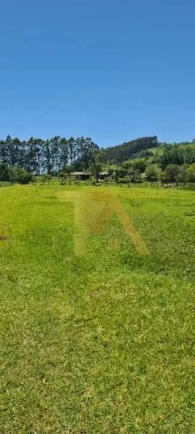 Sítio, 1 quarto, 2 hectares - Foto 4