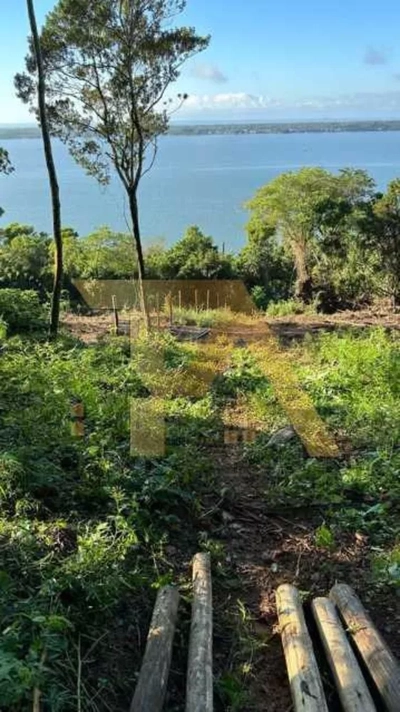 Terreno, 2 hectares - Foto 4