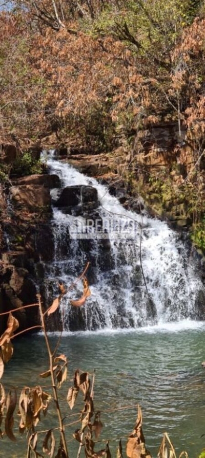 Fazenda-Sítio-Chácara, 29 hectares - Foto 1