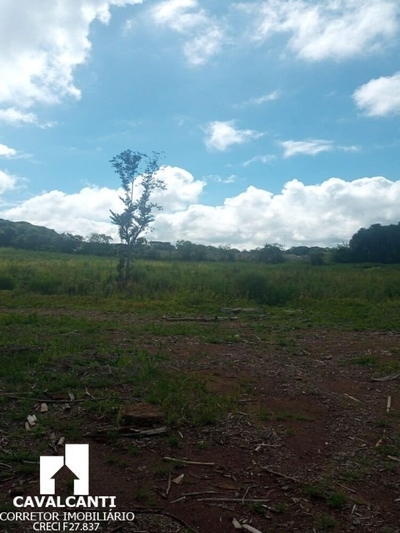 Terreno, 8 hectares - Foto 3