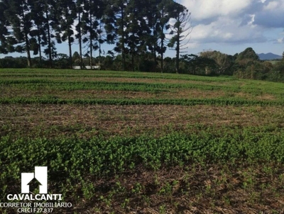 Chácara, 1 hectares - Foto 3