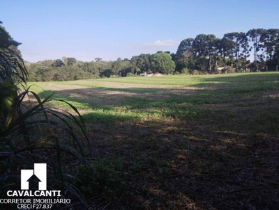 Chácara, 1 hectares - Foto 1