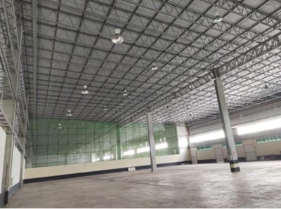 Depósito-Galpão, 4000 m² - Foto 3