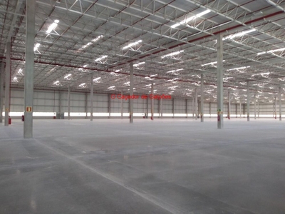 Depósito-Galpão, 780 m² - Foto 3