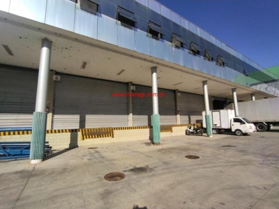 Depósito-Galpão, 1618 m² - Foto 4