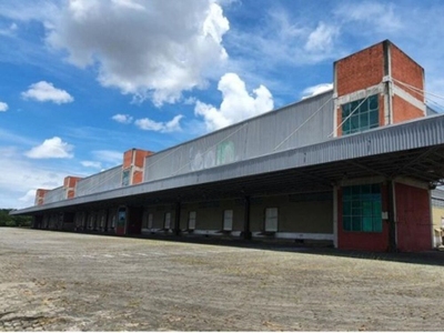 Depósito-Galpão, 1000 m² - Foto 4