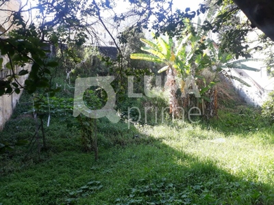 Terreno, 371 m² - Foto 3