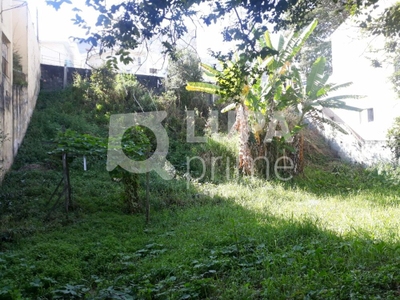 Terreno, 371 m² - Foto 4