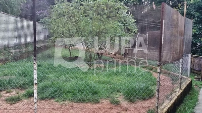 Chácara, 2 quartos, 1245 m² - Foto 2