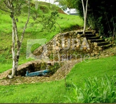 Fazenda-Sítio-Chácara, 133 hectares - Foto 4