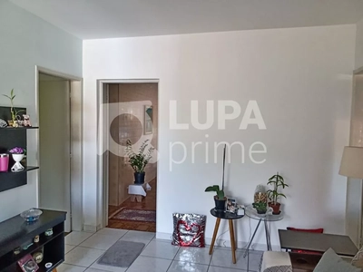 Casa, 8 quartos, 250 m² - Foto 1