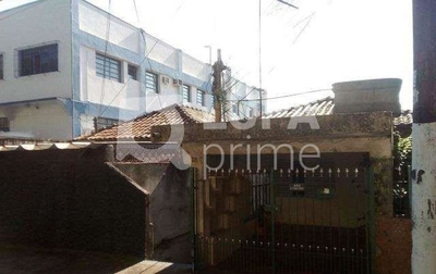 Terreno, 1000 m² - Foto 3