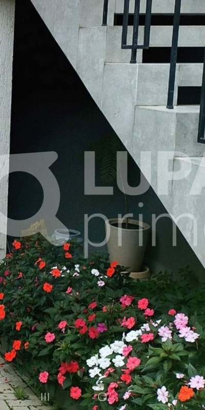 Casa, 3 quartos, 189 m² - Foto 3