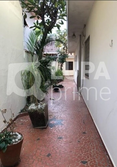 Sala-Conjunto, 240 m² - Foto 4