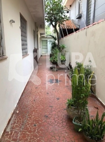 Sala-Conjunto, 240 m² - Foto 5