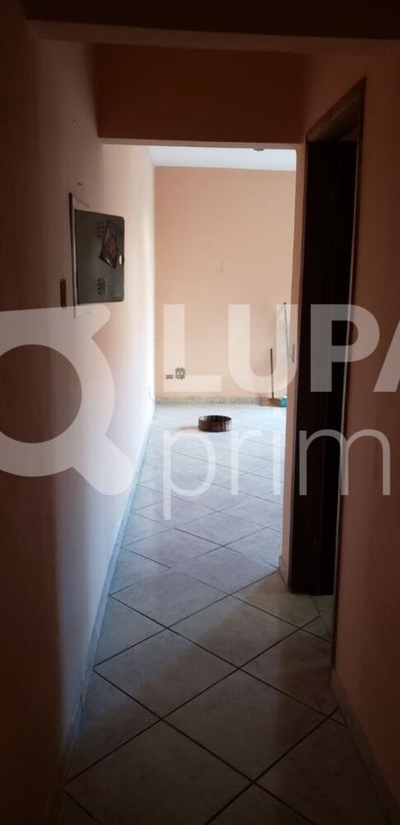 Casa, 2 quartos, 290 m² - Foto 3