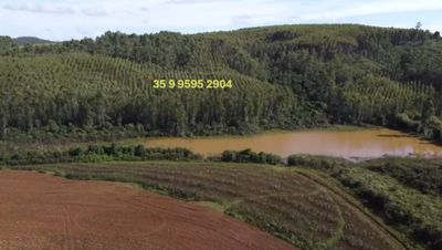 Fazenda, 2080 hectares - Foto 4