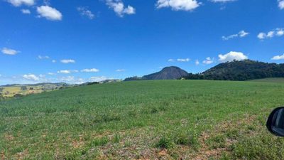 Fazenda, 339 hectares - Foto 5