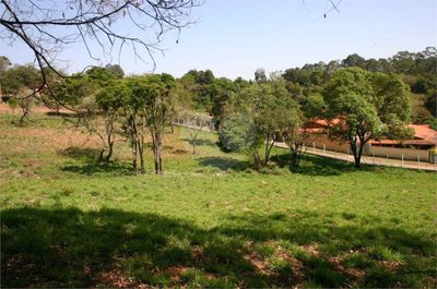 Terreno, 2 hectares - Foto 5
