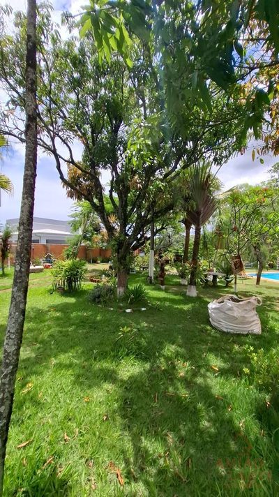 Chácara, 4 quartos, 4320 m² - Foto 3