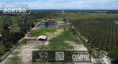 Casa, 10 m² - Foto 5