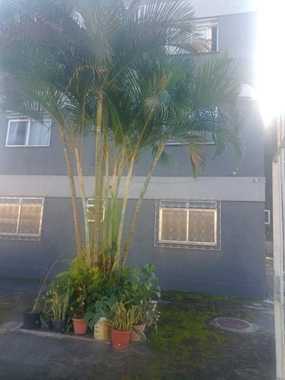 Apartamento, 1 quarto, 50 m² - Foto 1