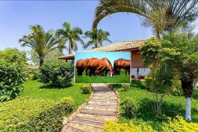 Fazenda, 152 hectares - Foto 2