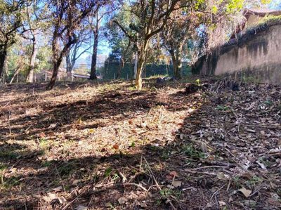 Loteamento e Condomínio, 2334 m² - Foto 4