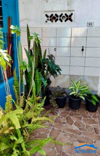 Casa, 10 quartos, 345 m² - Foto 3