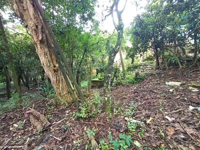 Loteamento e Condomínio, 2800 m² - Foto 3