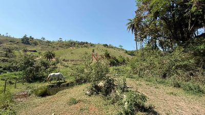 Terreno, 9 hectares - Foto 2