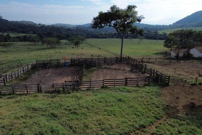 Fazenda, 199 hectares - Foto 3