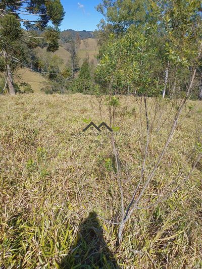 Terreno, 3 hectares - Foto 3