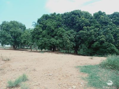 Fazenda, 97 hectares - Foto 3