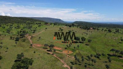 Fazenda, 823 hectares - Foto 5