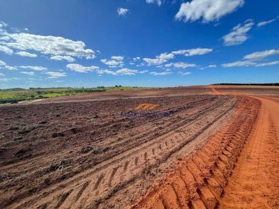 Fazenda, 842 hectares - Foto 4