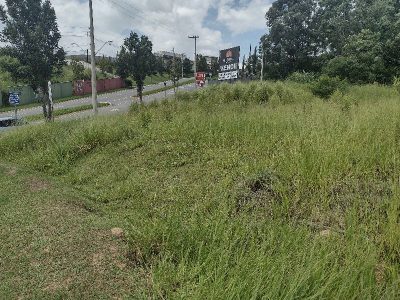 Terreno, 2310 m² - Foto 3