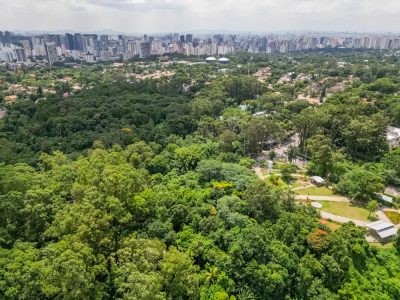 Terreno, 663 m² - Foto 3