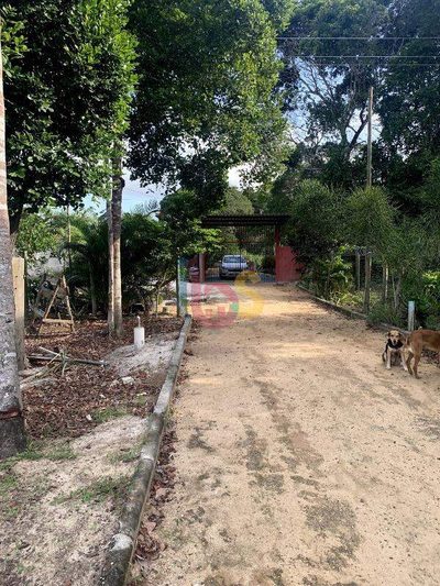Sítio, 3 quartos, 1500 m² - Foto 5