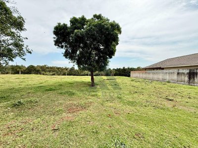 Terreno, 560 m² - Foto 3