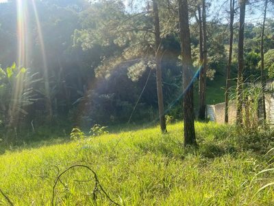 Casa, 2000 m² - Foto 3