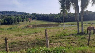 Terreno, 2 hectares - Foto 5