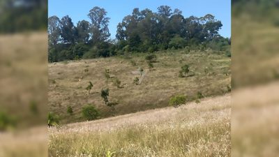 Fazenda, 100 hectares - Foto 4