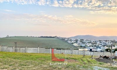 Terreno, 4 hectares - Foto 1