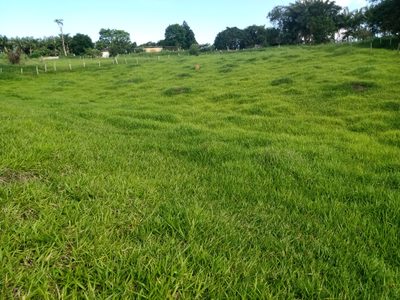 Sítio, 2 quartos, 4800 m² - Foto 4